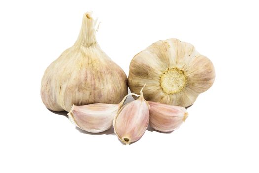 Garlic over a white background