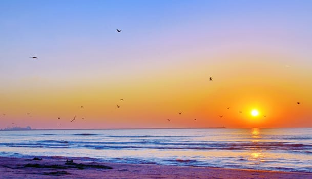 Beautiful sunrise on Black Sea beach in summer time