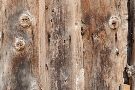  Aged old textured wood pattern surface with nails vintage  background                                       