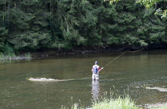 man busy with flyfishing in the belgium river semois 