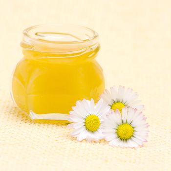 honey and daisies