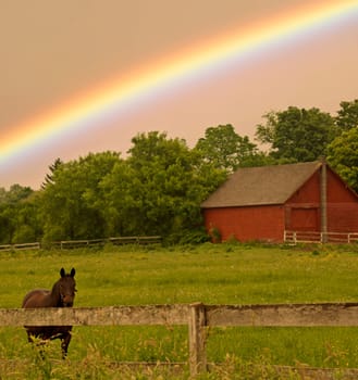 country landscape with horse and rainbow