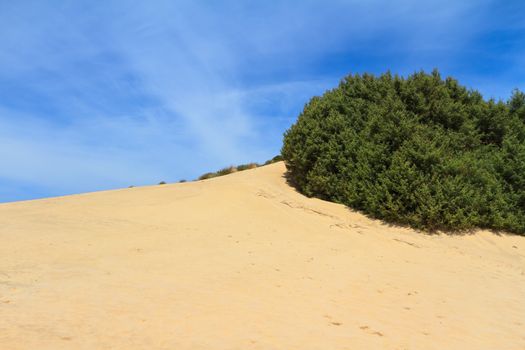 Piscinas dune in Costa Verde, southwest Sardinia, Italy