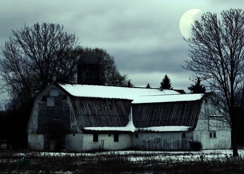 barn and black cat night scene