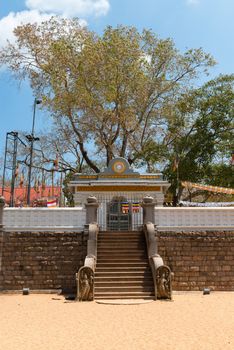 Sacred Sri Maha Bodhi tree on the top platform in Anuradhapura, Sri Lanka