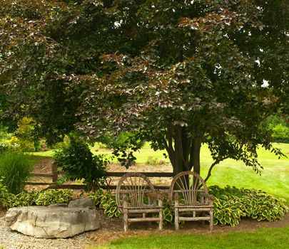 two wicker-like chairs in the shade of a japanese red maple tree