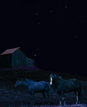 horses on a farm with constellation in the night sky