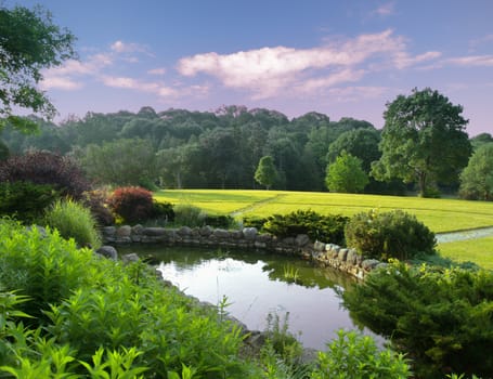 beautiful park with pond