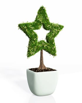 a small plant in the shape of star planted in a white pot has its profile fully covered by grass and flowers, on a white background