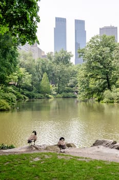 Central Park, Manhattan, New York City
