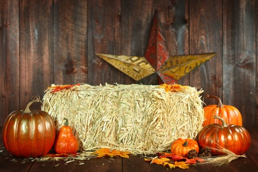 Rustic Fall Themed Scene With Pumpkins on Wood Grunge Background