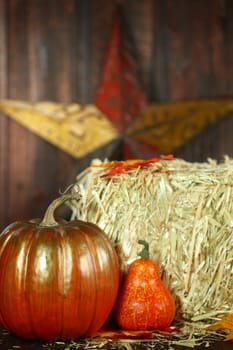 Rustic Fall Themed Scene With Pumpkins on Wood Grunge Background