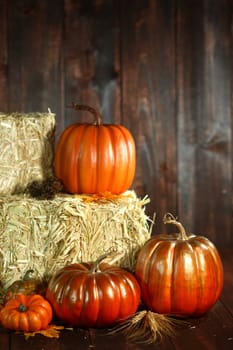 Rustic Fall Themed Scene With Pumpkins on Wood Grunge Background