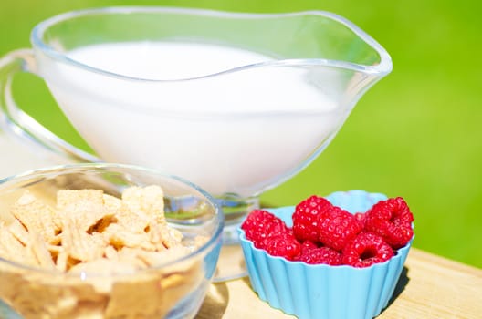 Healthy breakfast with cereals, raspberry and milk. Selective focus.