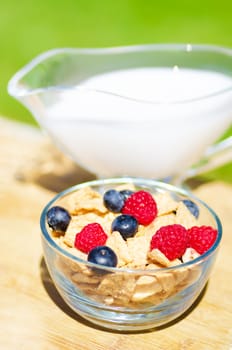 Healthy breakfast with cereals, blueberry, raspberry and milk. Selective focus.