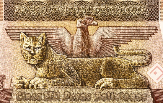 Condor and Leopard on 5000 Bolivianos 1984 Banknote from Bolivia.
