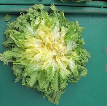 Fresh salad on a market stall