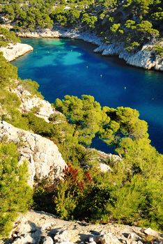 Calanques of Port Pin in Cassis in France near Marseille