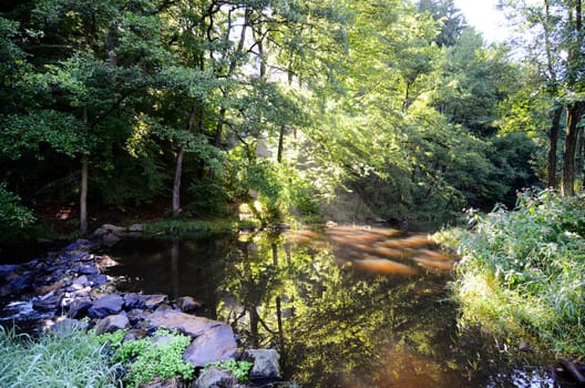 river in the morning