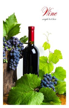 Bottle of red wine with grapes on a white background