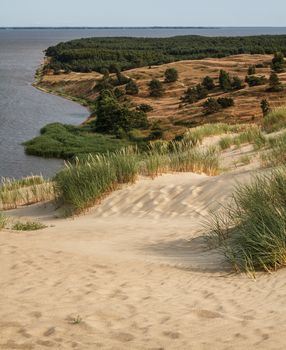 view from the Dune Nagliu of the Curonian Lagoon, Curonian Spit, Lithuania