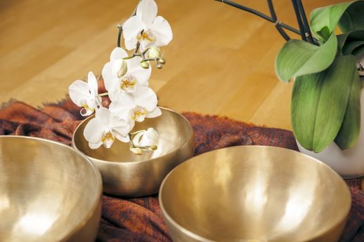 An image of some singing bowls and a white orchid