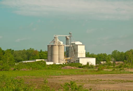 processing plant for corn, wheat and feed for livestock