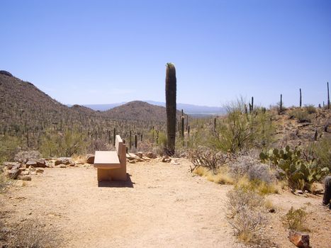 A bench overlooking Saguaro National Park