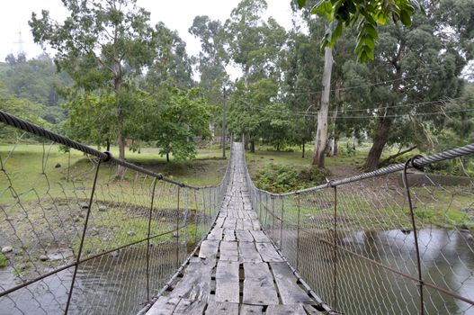 rope bridge over the river