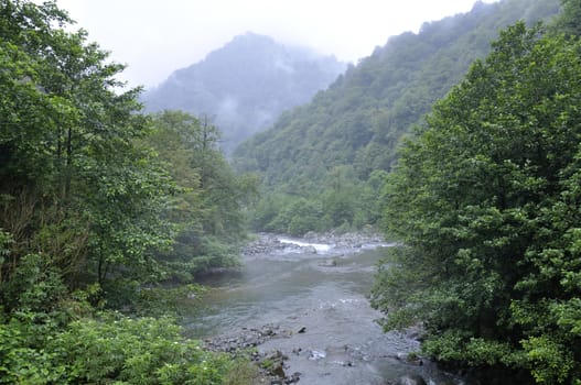 mountain river, landscapes