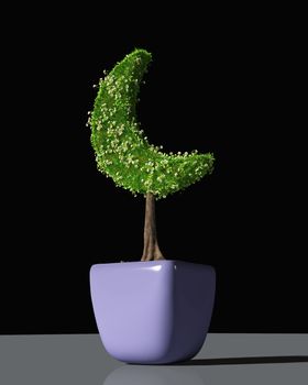 a small plant in the shape of crescent moon planted in a purple pot is fully covered by grass and flowers, on a black background