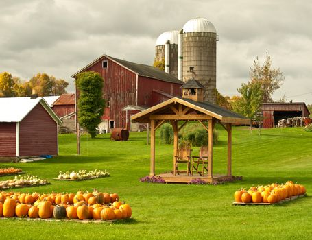 working farm in autumn selling pumpkins and gourds