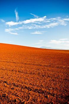 Ploughed red earth in late evening sun glowing richly in the golden light in a beautiful environmental landscape of agricultural land