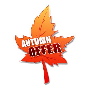 autumn offer - text in 3d orange leaf
