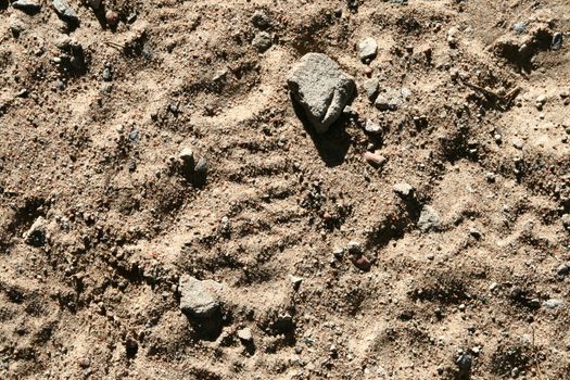 sand background grains nature texture