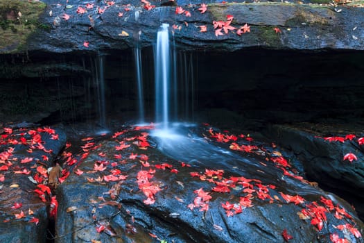 The red maples leaves and beautiful waterfall