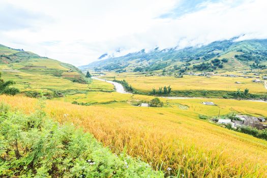 Rice terraces and cottage in the mountains in Sapa, Vietnam