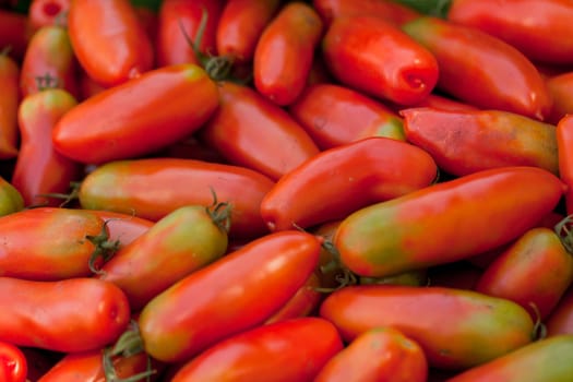 tasty fresh red tomatoes on market outdoor in summer