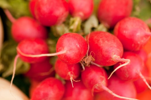 fresh healthy red raddisch closeup macro outdoor market summertime