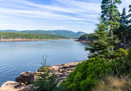 This image shows a beautiful combination of foliage, rocks, water and sky on the shoreline of Acadia National Park.