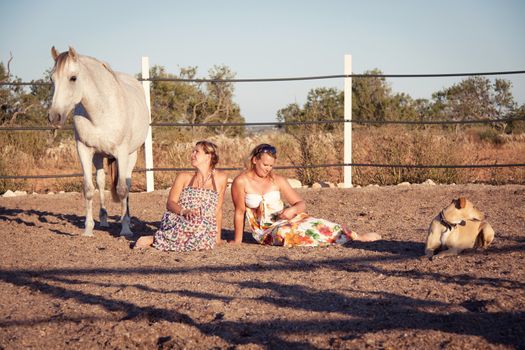 two woman horse and dog outdoor in summer happy sunset together nature