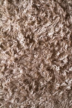 A close up shot of natural carpet