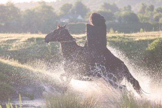 horseback rider on a horse in national Caucasian clothes