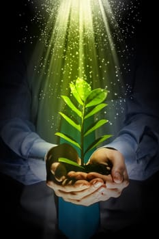 Young green sprout in human hands. Ecology concept