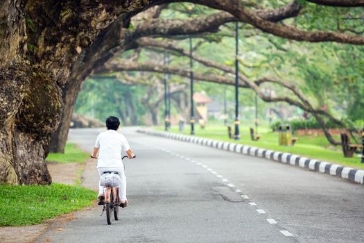Street in Lake garden at Taiping Perak Malaysia