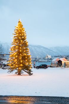 Snow covered outdoor Christmas tree with lights in Tromso Norway