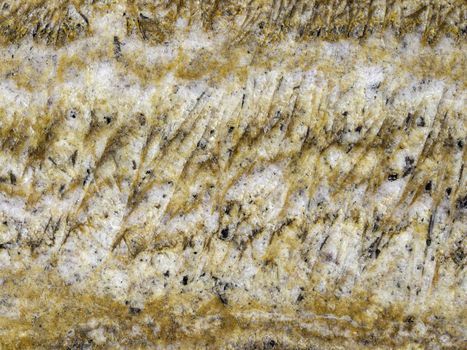 Picture of a abstract brown white marble for background texture