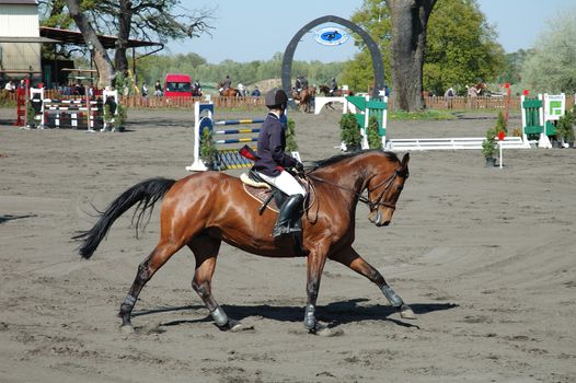 Horse jump contest on 26.04.2009 in Jaszkowo stud in Poland