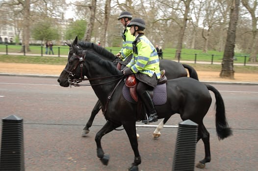 Horse police somewhere on street in London