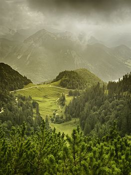 View from the mountain named Herzogstand to green meadow with trees and dark clouds in Bavaria, Germany